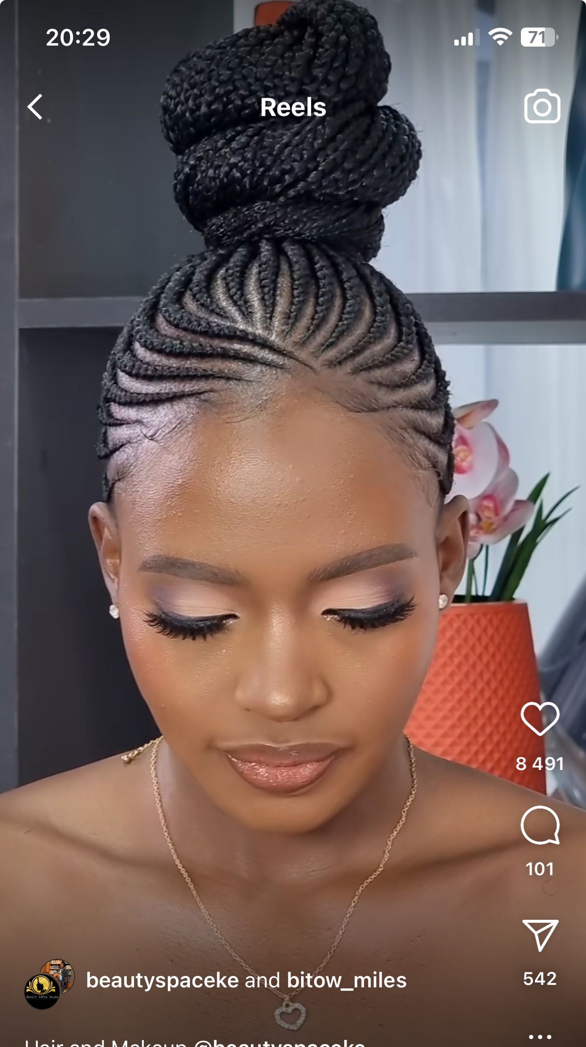 updo braids